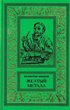 Валентин Иванов Желтый металл. Девять этюдов обложка книги