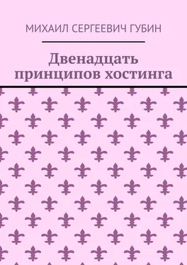 Михаил Губин Двенадцать принципов хостинга обложка книги