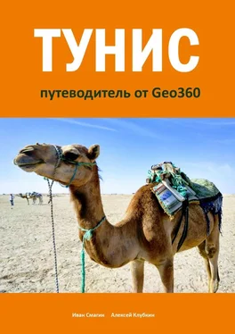 Иван Смагин Тунис. Путеводитель от Geo360 обложка книги