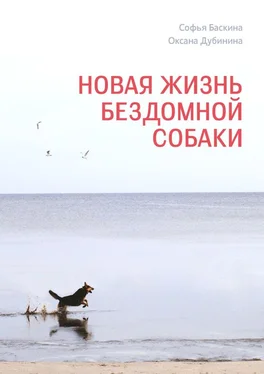 Оксана Дубинина Новая жизнь бездомной собаки обложка книги