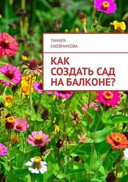 Тамара Ежевникова Как создать сад на балконе? обложка книги