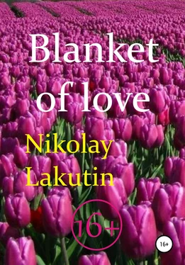 Nikolay Lakutin Blanket of love обложка книги