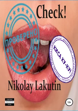 Nikolay Lakutin Check! обложка книги