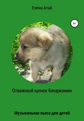 Елена Атай - Отважный щенок Бенджамин. Музыкальная пьеса для детей
