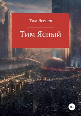 Тим Ясенев Тим Ясный обложка книги
