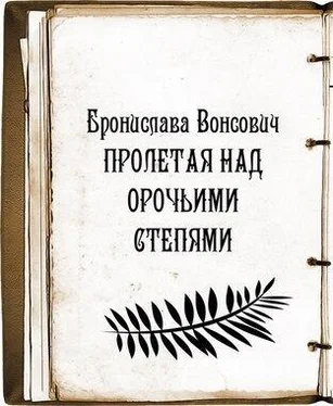 Бронислава Вонсович Пролетая над орочьими степями (СИ) обложка книги