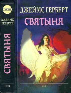 Джеймс Герберт Святыня обложка книги