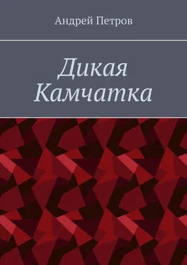 Андрей Петров Дикая Камчатка обложка книги