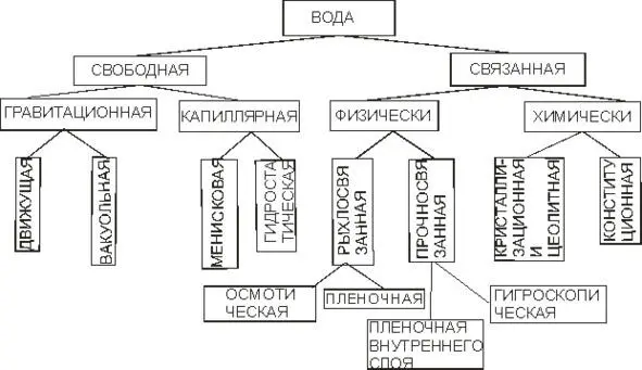 5 Происхождение подземных вод инфильтрационные образуются в результате - фото 3