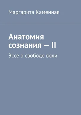 Маргарита Каменная Анатомия сознания – II. Эссе о свободе воли обложка книги