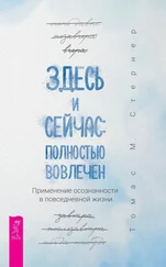 Томас Стернер - Здесь и сейчас - полностью вовлечен. Применение осознанности в повседневной жизни