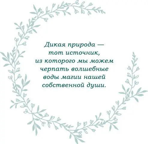 Мы задействуем древние силы земли и тела камней и звезд Мы стремимся достичь - фото 12