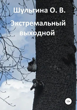 Ольга Шульгина Экстремальный выходной обложка книги