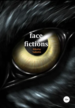 Nikolay Lakutin Face fictions обложка книги