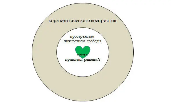 1 Внешнее влияние 11 Культура здоровья 12 Информационный хаос 13 - фото 4