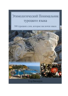 Егор Винокуров Этимологический понимальник турецкого языка. 300 турецких слов, которые мы почти знаем обложка книги