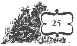 25 Красная Фиеста осторожно влилась в поток машин на шоссе двигавшихся на - фото 26