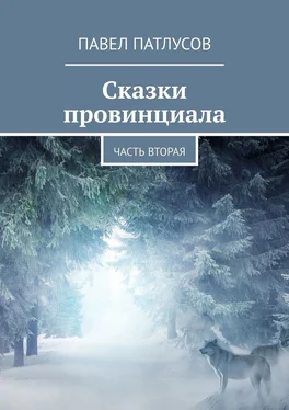 Павел Патлусов Сказки провинциала. Часть вторая обложка книги