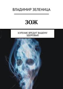 Владимир Зеленица ЗОЖ. Курение вредит вашему здоровью обложка книги