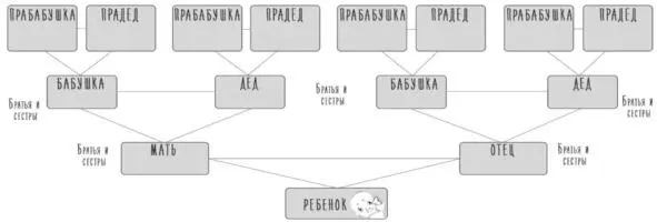 7 этапов работы с родовой системой Эту работу лучше делать разом выделив на - фото 3
