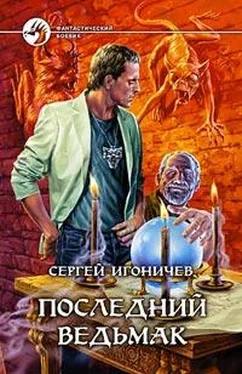 Сергей Игоничев Последний ведьмак обложка книги