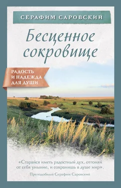 преподобный Серафим Саровский Бесценное сокровище обложка книги