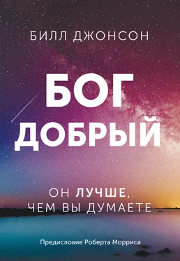 Билл Джонсон Бог добрый. Он лучше, чем вы думаете обложка книги