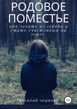 Василий Чешихин Родовое Поместье обложка книги