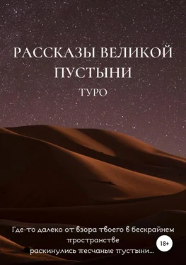 Туро Рассказы великой пустыни обложка книги