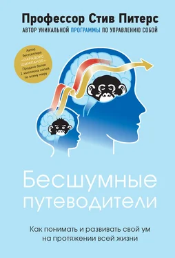 Стив Питерс Бесшумные путеводители. Как понимать и развивать свой ум на протяжении всей жизни обложка книги