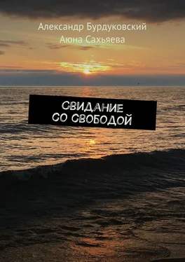 Александр Бурдуковский Свидание со свободой обложка книги