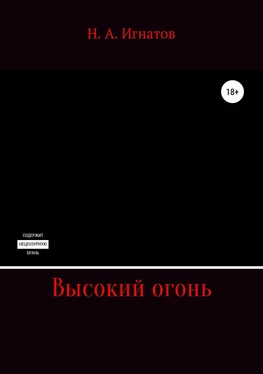 Николай Игнатов Высокий огонь обложка книги