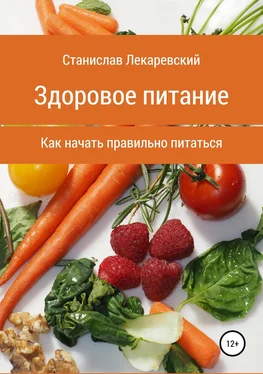 Станислав Лекаревский Здоровое питание. Как начать правильно питаться обложка книги