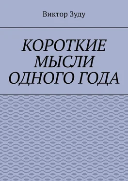 Виктор Зуду Короткие мысли одного года. Чем короче мысль, тем глубже суть обложка книги