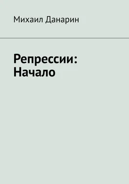 Михаил Данарин Репрессии: Начало обложка книги