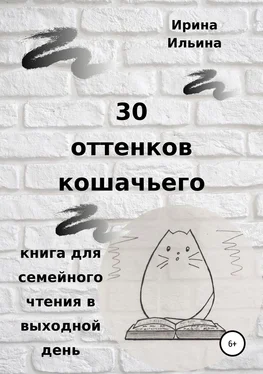 Ирина Ильина 30 оттенков кошачьего. Книга для семейного чтения в выходной день обложка книги