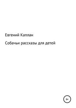 Евгений Каплан (Капланий) Собачьи рассказы для детей обложка книги