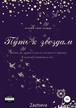 Oly Zaytseva Путь к звёздам обложка книги