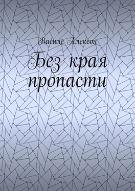 Василе Алексон Без края пропасти обложка книги