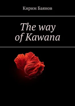 Кирим Баянов The way of Kawana обложка книги