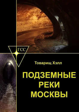 Товарищ Хэлл Подземные реки Москвы обложка книги