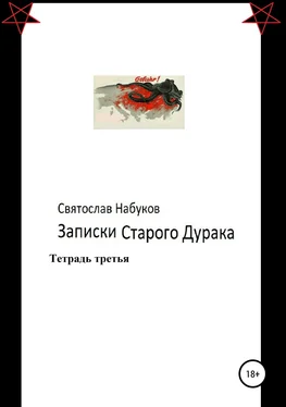 Святослав Набуков Записки старого дурака. Тетрадь третья. обложка книги