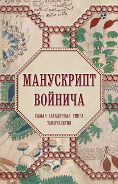 Александр Дей Манускрипт Войнича обложка книги