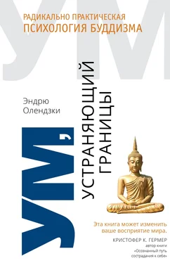 Эндрю Олендзки Ум, устраняющий границы. Радикально практическая психология буддизма обложка книги