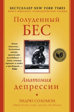 Эндрю Соломон Полуденный бес. Анатомия депрессии обложка книги