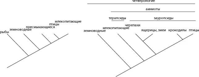 Рис 14 Современная трактовка основанных на фактических данных эволюционных - фото 4