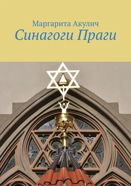 Маргарита Акулич Синагоги Праги обложка книги