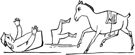 There was an Old Man of Nepaul From his horse had a terrible fall But - фото 53