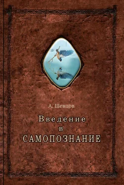 Александр Шевцов Введение в самопознание обложка книги