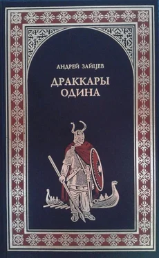 Андрей Зайцев Драккары Одина обложка книги